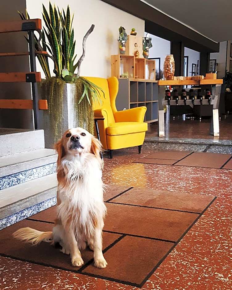 Hotel Bungalows Europa