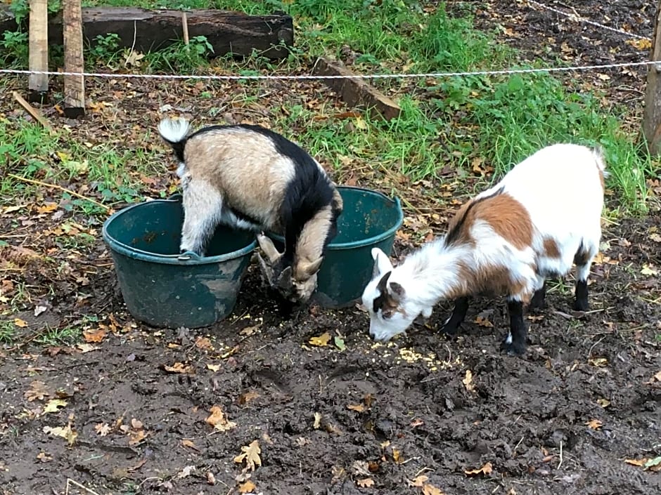 Les Fermes de Kercadoret