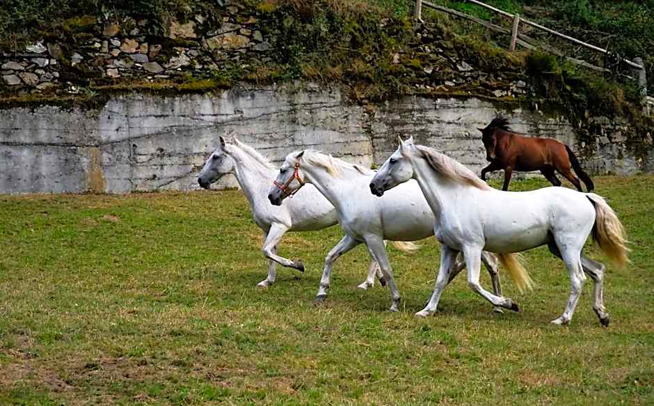 Hotel Rural Las Montañas de Pumar