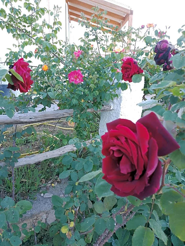 Lispusada Agriturismo Adults Only