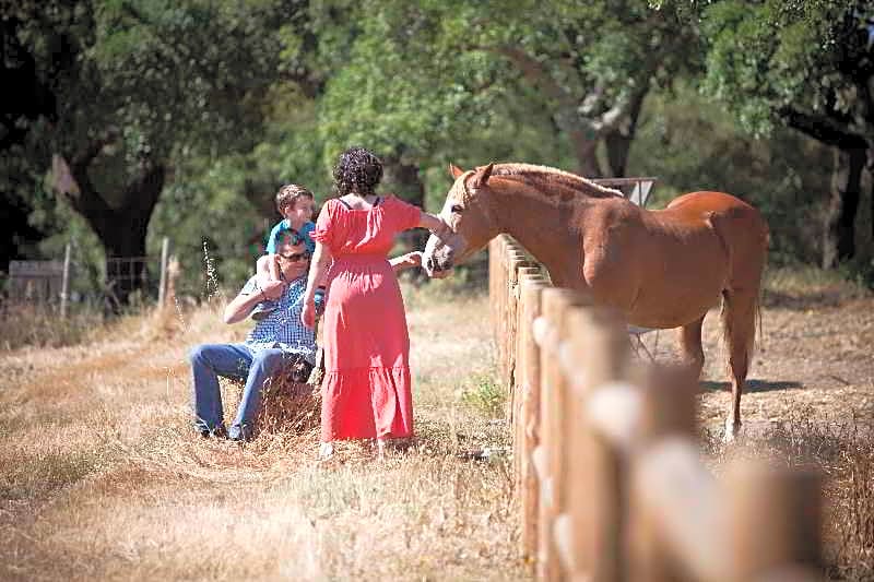 Monte do Giestal - Casas de Campo & SPA