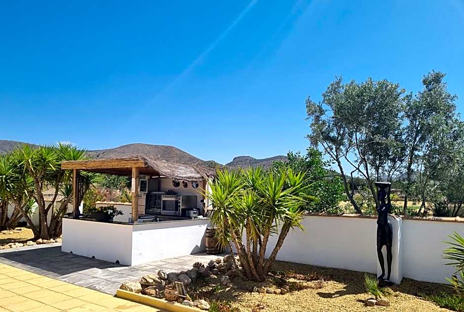 Oasis View