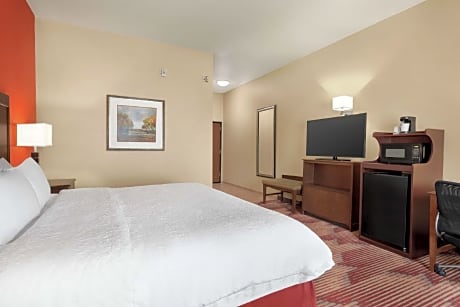 1 King Mobility/Hearing Acc Ri Shower Nosmok