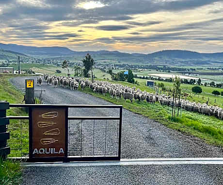 Aquila Eco Retreat