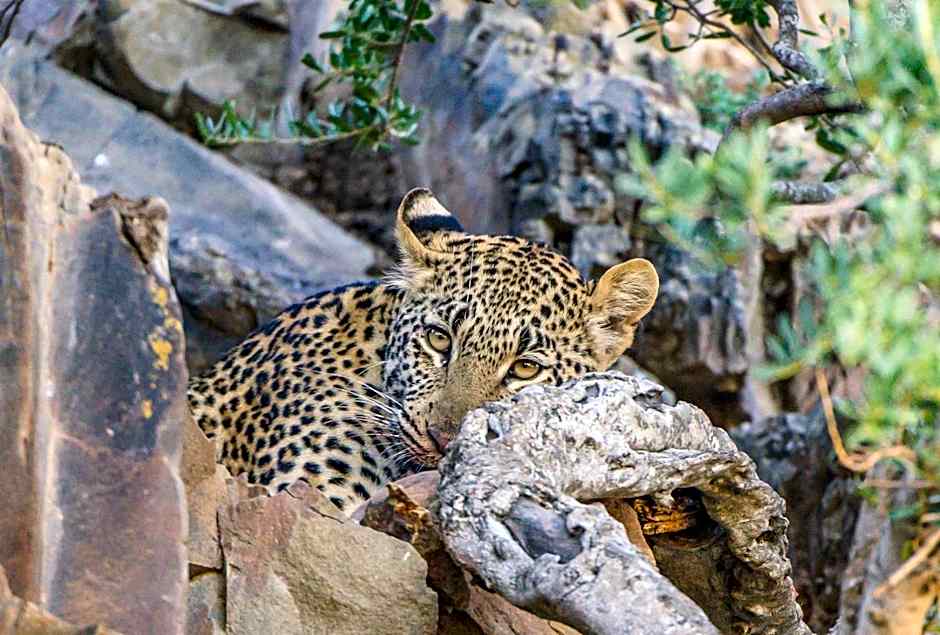 Kwandwe Private Game Reserve - Great Fish River Lodge