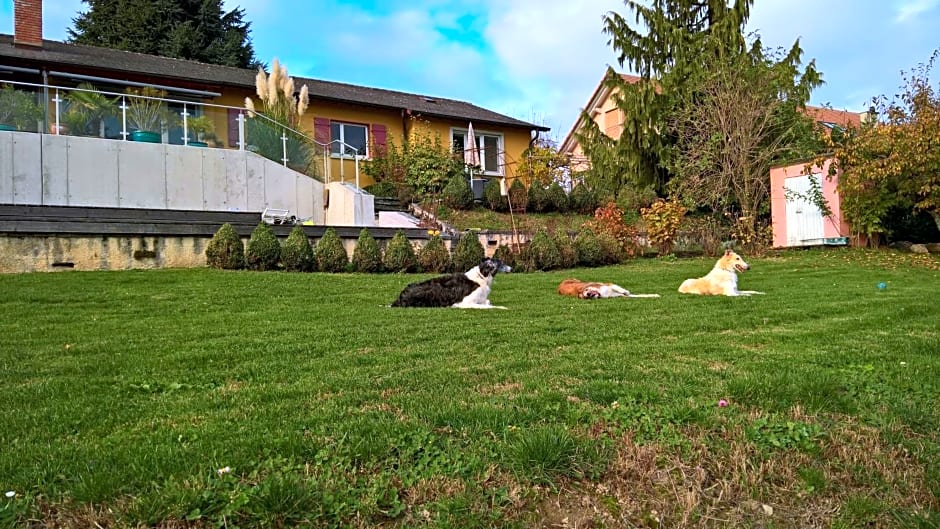 Swiss Borzoi House