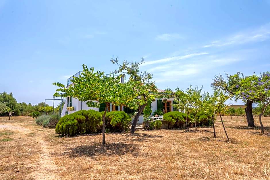 Ses Planes -Ca Na Faustina-