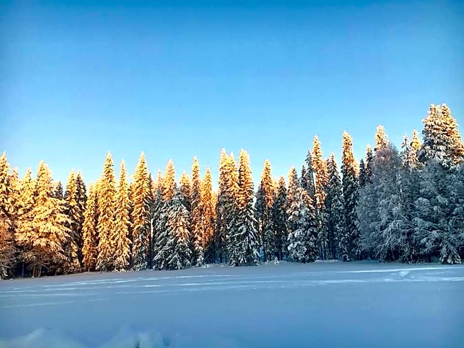 Lantlivlodge i Österjörn - Midgård