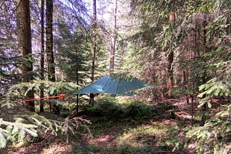 Baumzelt im Wald