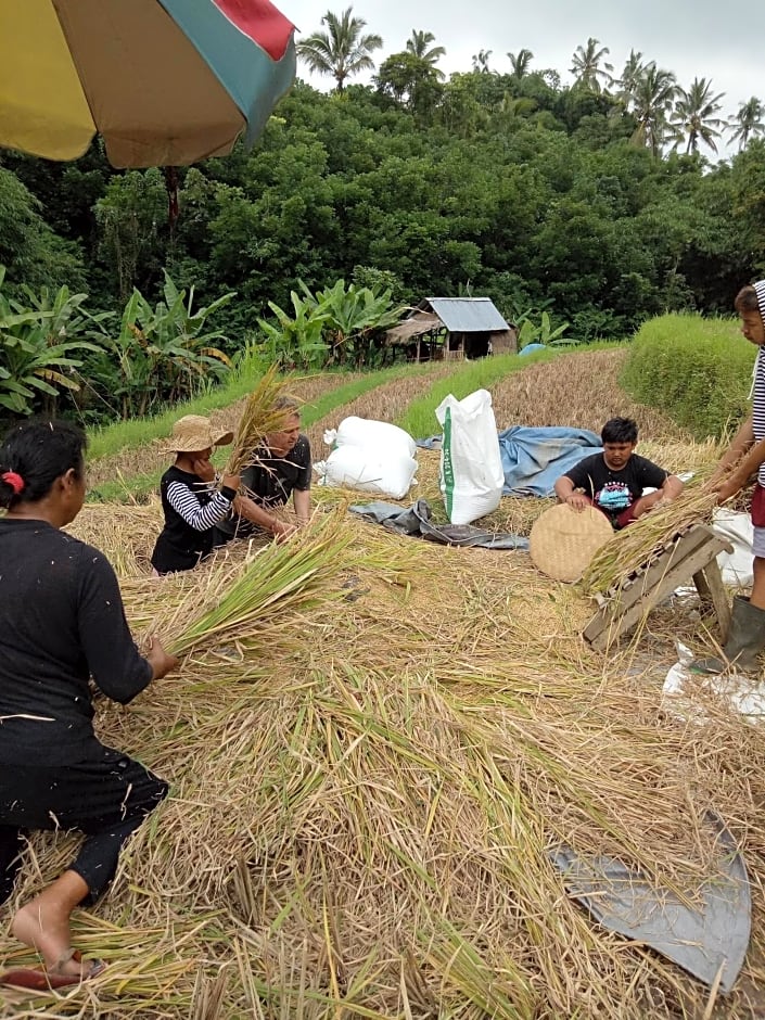 Babahan Farmstay