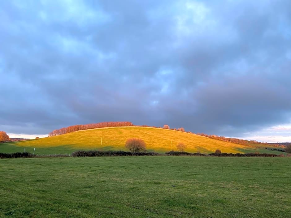 Charlton End - Goodwood Events