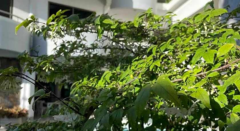 Garden Paradise Pattaya