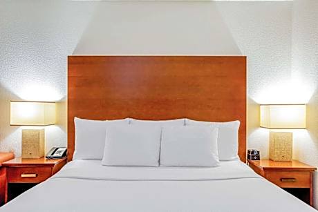 1 King Bed Suite Non-Smoking