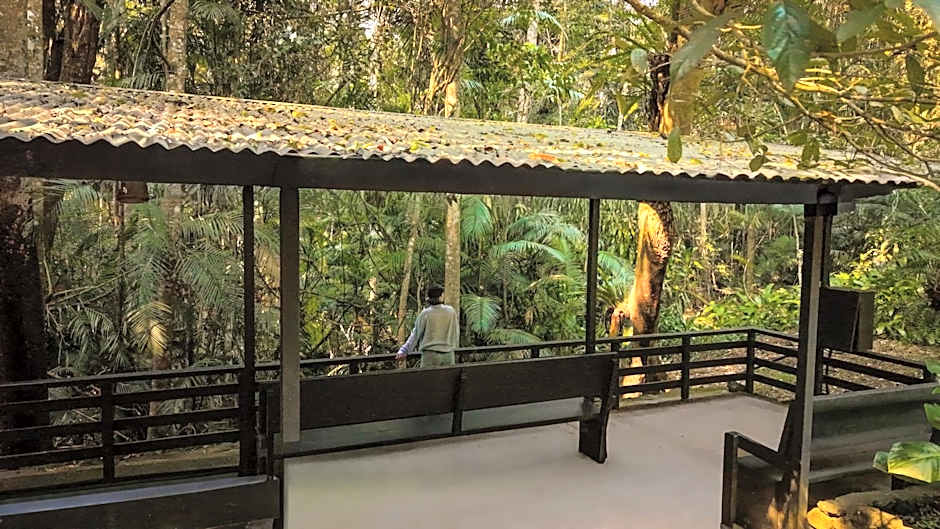 Chambers Wildlife Rainforest Lodges