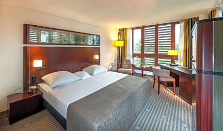 Comfort Double Room with Park View