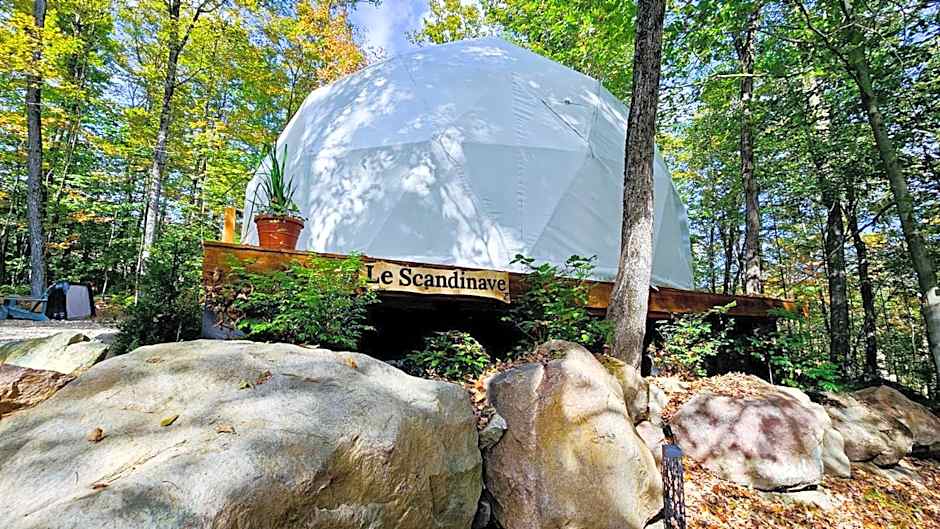 Dôme Le Scandinave