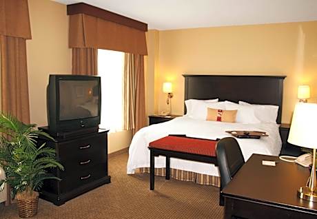 1 King Bed Studio Suite W/ Sofabed Nonsmoking