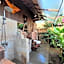 Rasasvada cottages