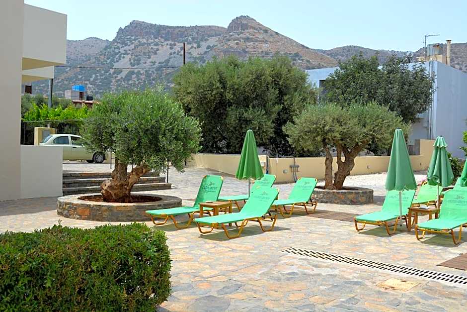 Olive Grove Apartments