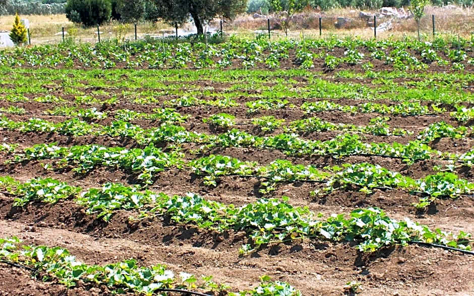 Helen Troya Hotel Geyikli