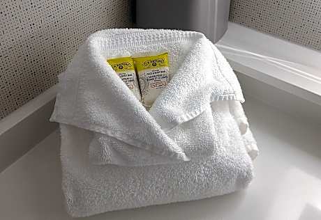 Queen Room with Two Queen Beds Hearing Accessible with Roll-In Shower - Non-Smoking