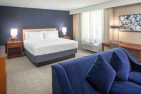 1 King Room Suite