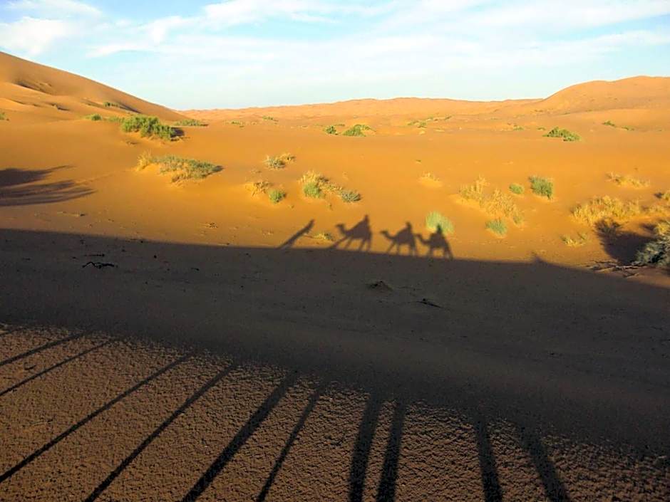 Sahara Lifestyle Camp