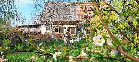 Kunstwerk Usedom & Fahrradherberge