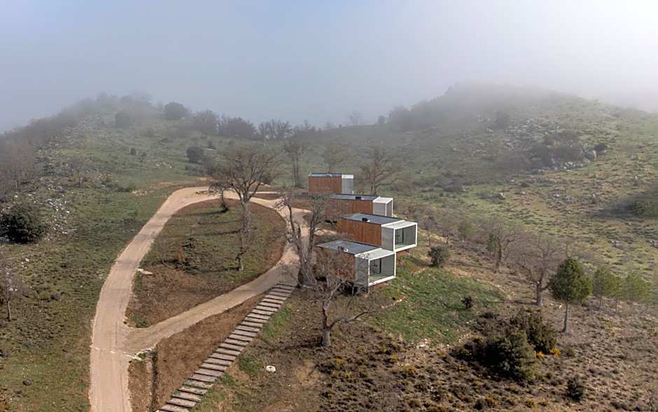 Pachán Dehesa Boyal