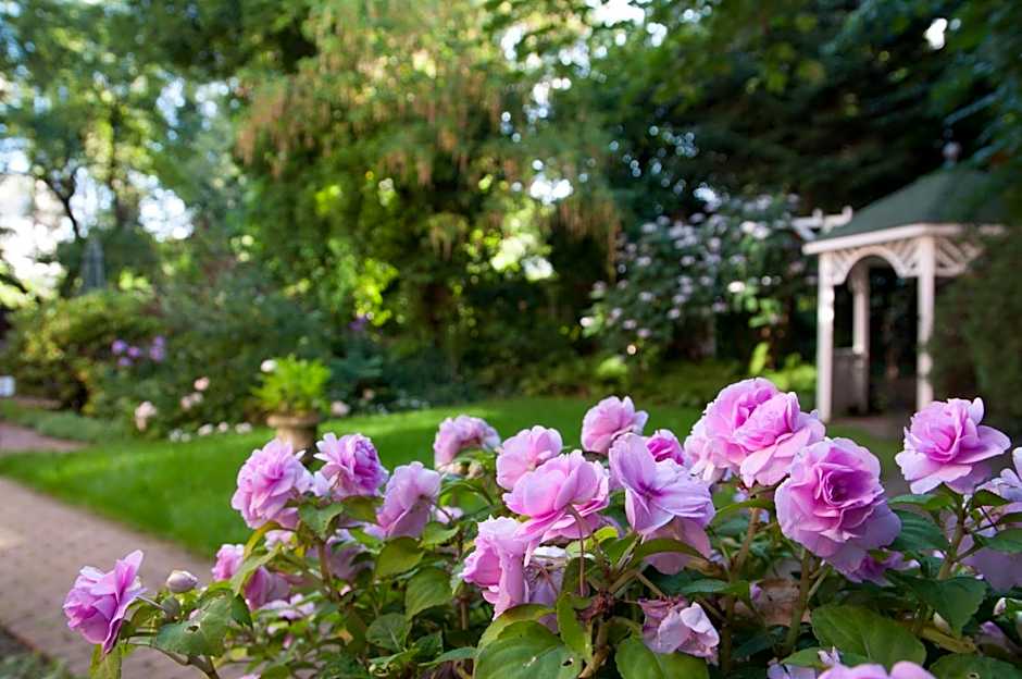 von Deska Townhouses - Ivy House