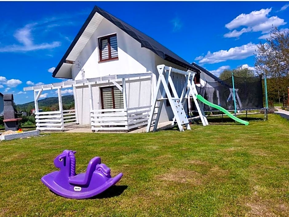 Domek pod Holicą 2 Bieszczady