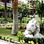 Seagull Hotel - All Inclusive