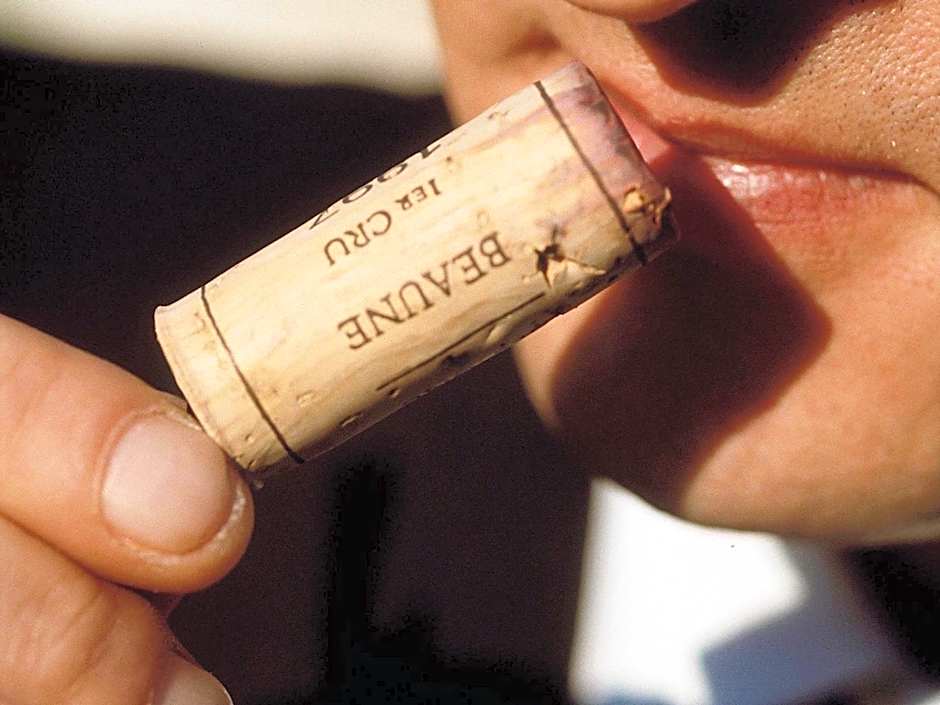 Mercure Toulouse Sud