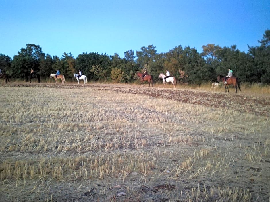 Agriturismo Fasano