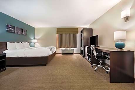 1 King Bed, Suite, Nonsmoking