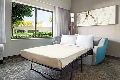 Room, 1 King Bed with Sofa bed (Mobility/Hearing Access, Roll-In Shwr)