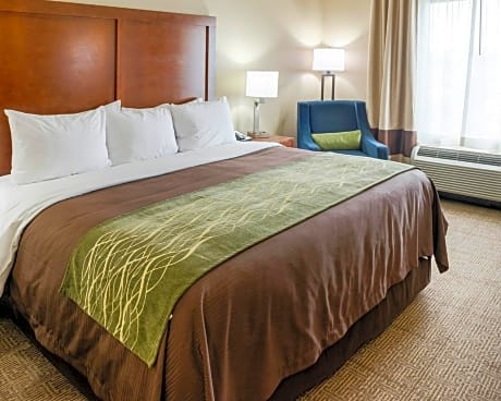 King Room with Roll-In Shower - Accessible/Non-Smoking