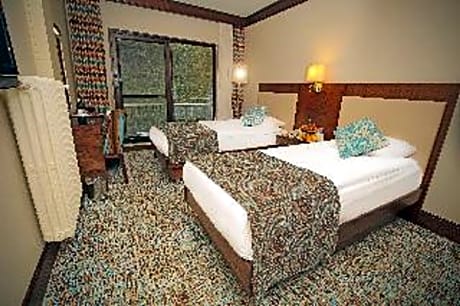 FOREST VIEW DOUBLE ECONOMY