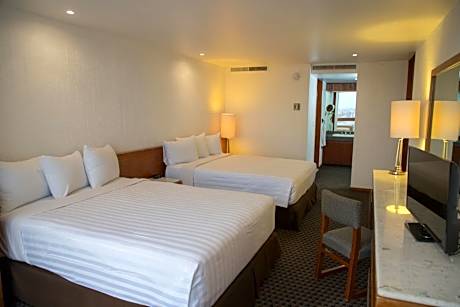 Suite with City View