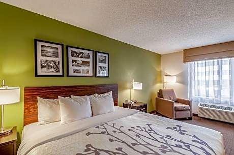 1 King Bed, Nonsmoking, Accessible