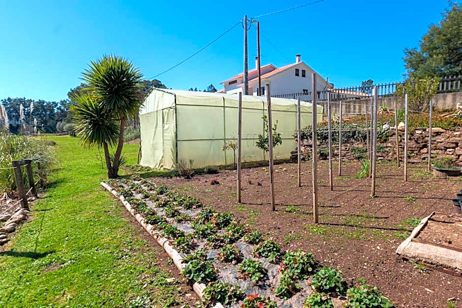 Quinta do Rio Alva and Glamping Lodges