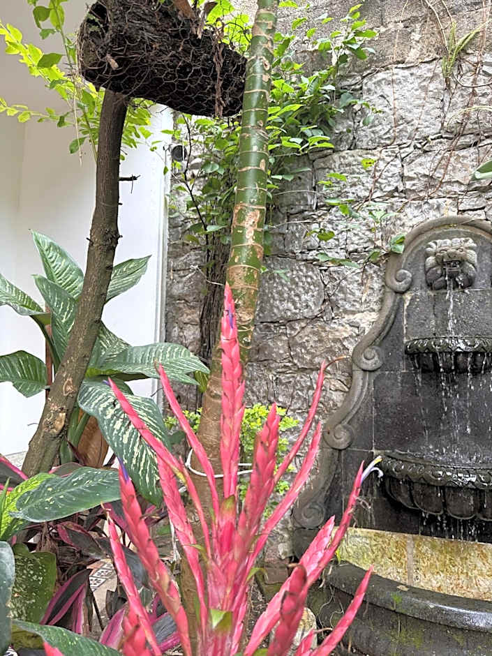 Hotel Magnolia cuetzalan