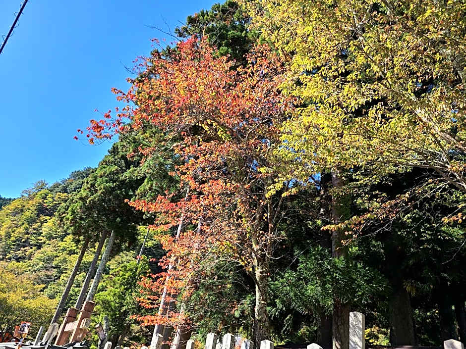 Ichimaru Ryokan - Vacation STAY 77709v