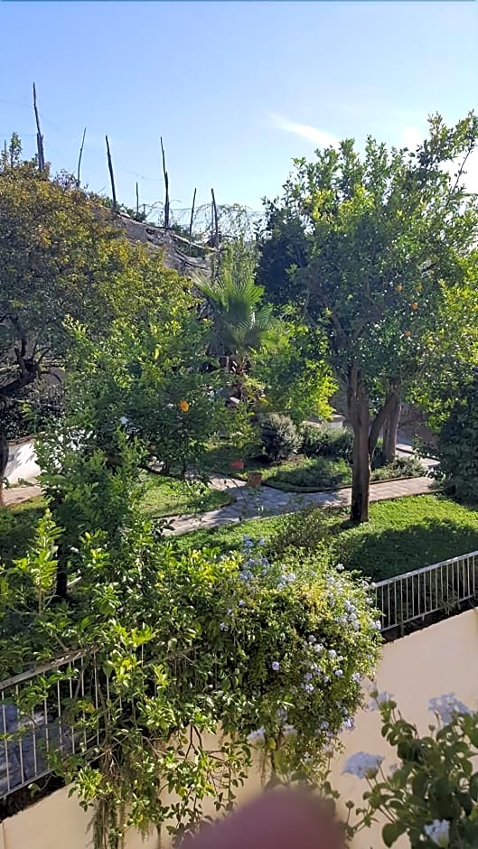 Bed & Breakfast Massico