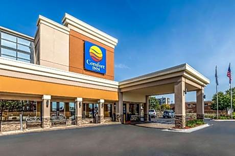 Comfort Inn Downtown