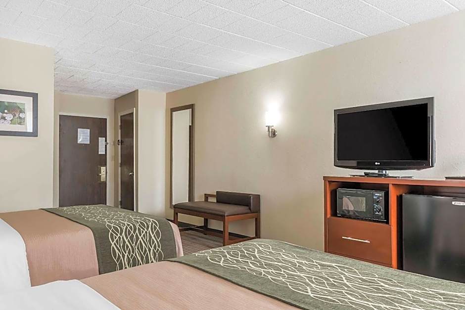 Comfort Inn - Pocono Mountain