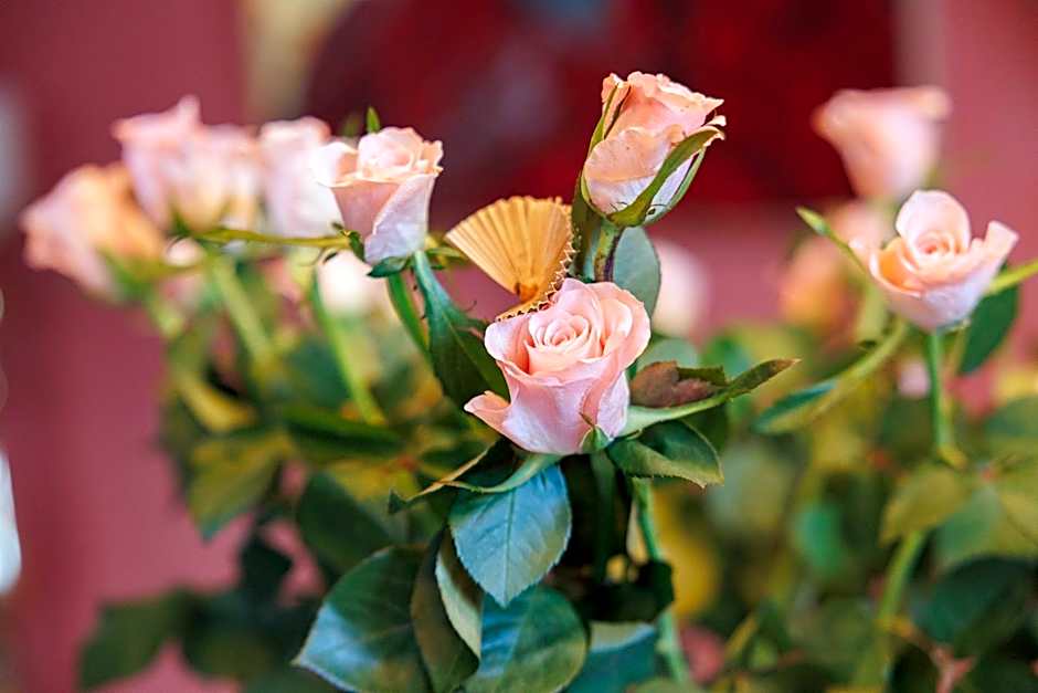 Suite dans une échoppe