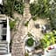 Coco Rio Hotel - Mamitas Beach Area