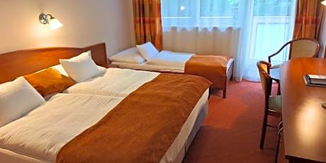 Double or Twin Room with Balcony