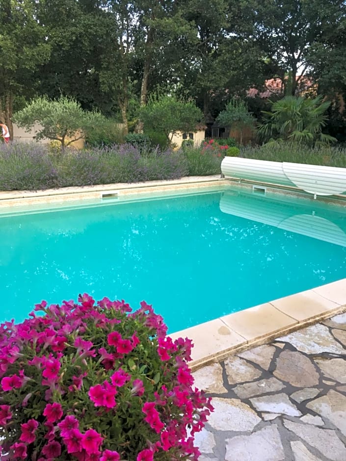 Chambre d'Hôte Couguiolet - avec piscine